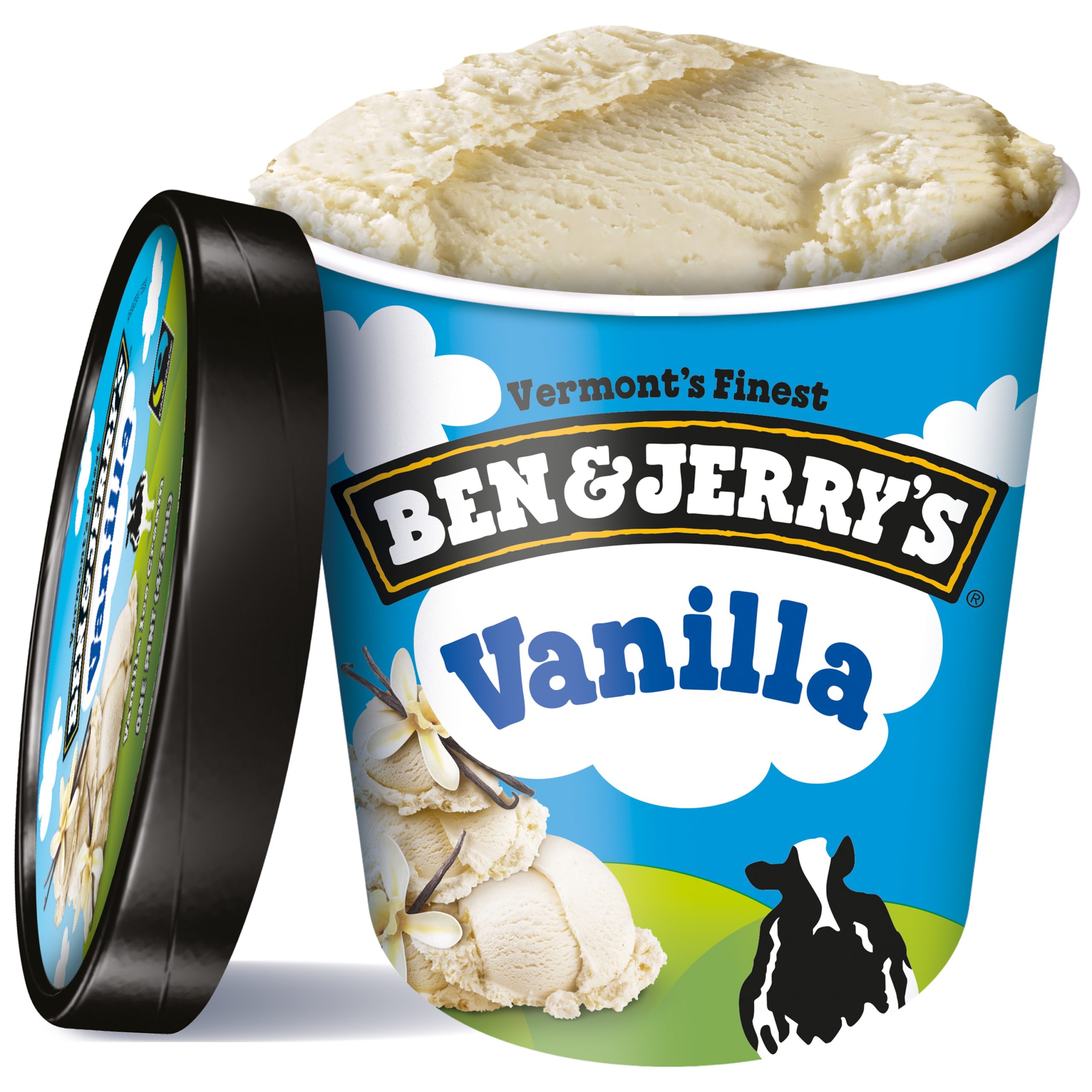 Ben & Jerry Vanilla Ice Cream 1 PT