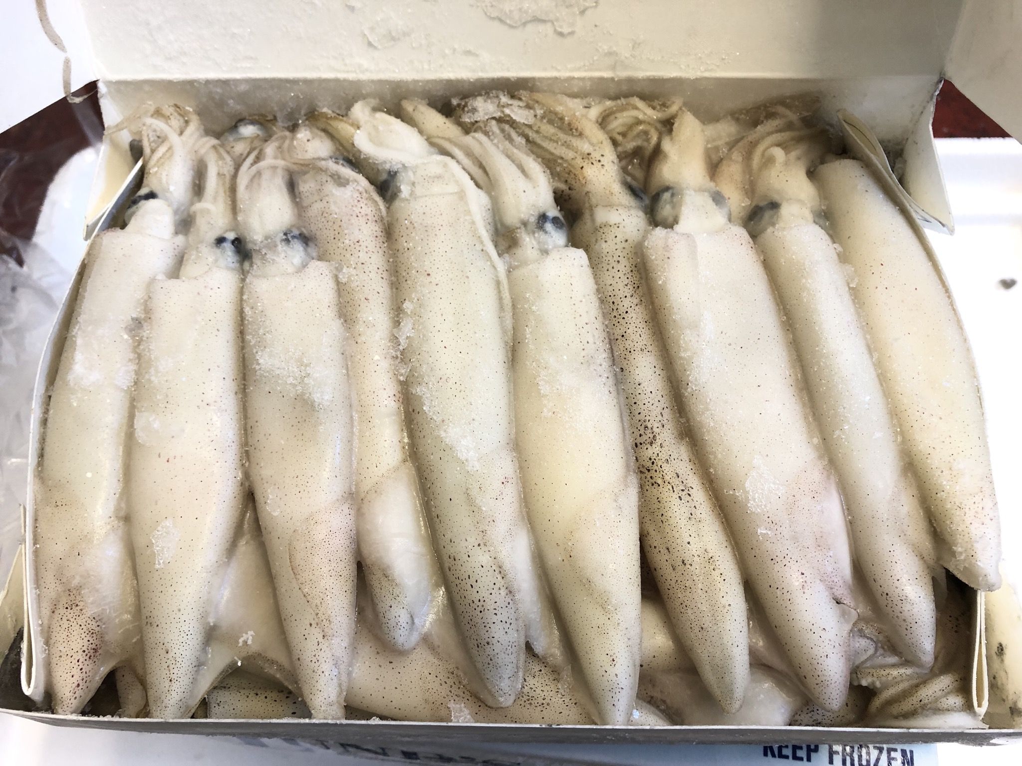 Frozen Squids 1LB