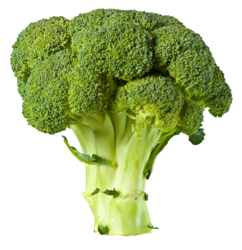 trellisbaymarket__brocolli