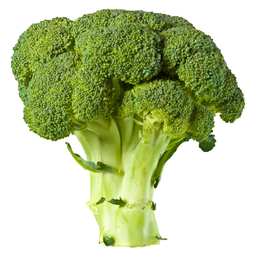 Broccoli Spears