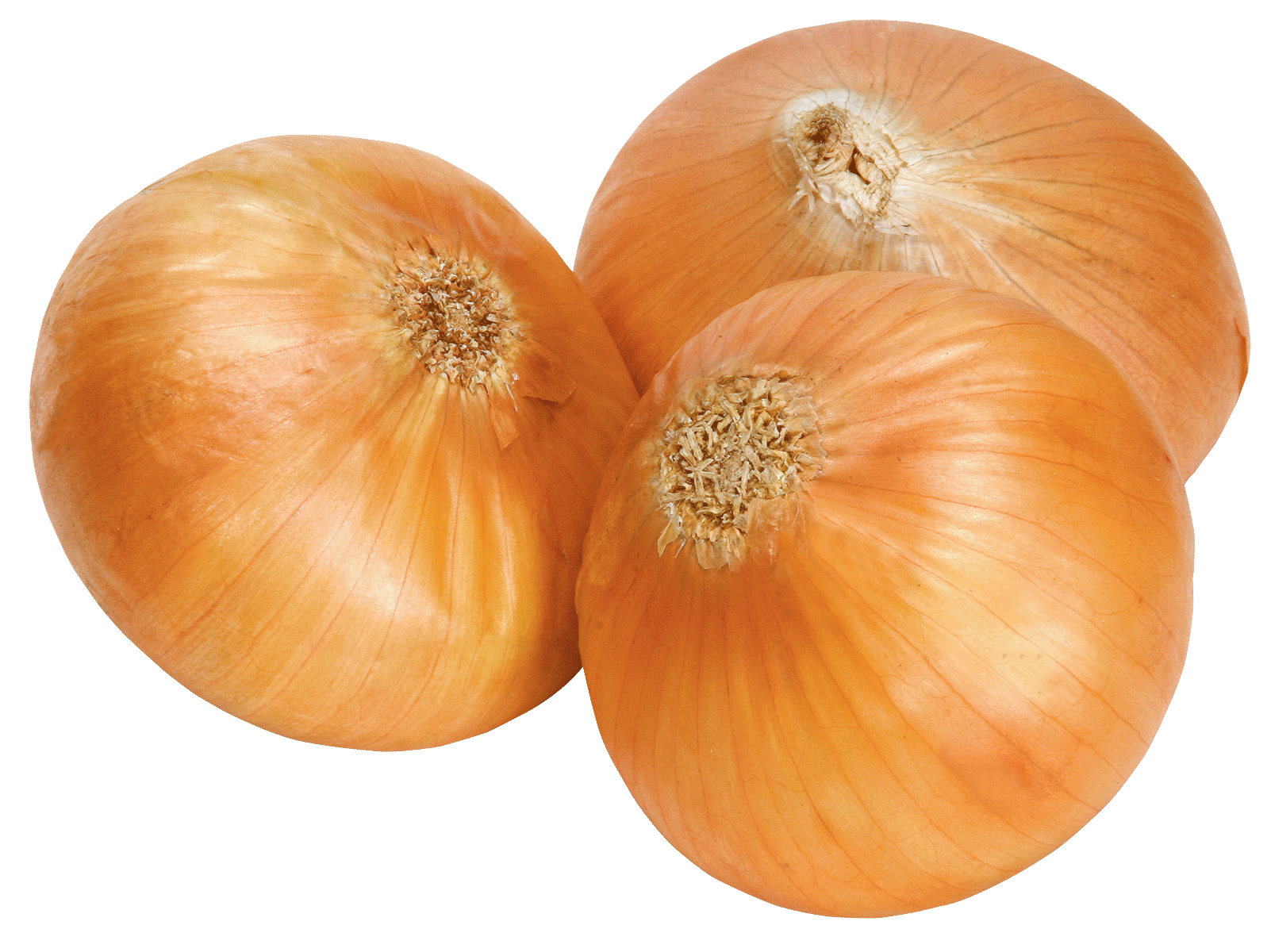 Onion – Per Pound