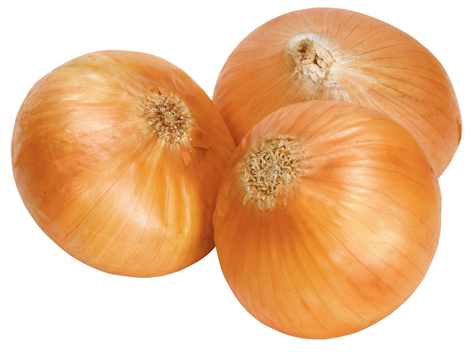 Onion – Per Pound 2.99#