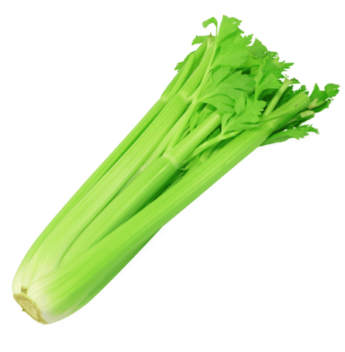 trellisbaymarket_celery