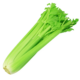 trellisbaymarket_celery