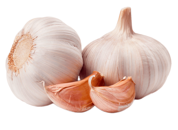 Garlic – 4.95#