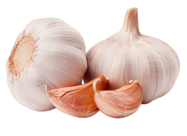 Garlic – $6.75#