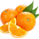 trellisbaymarket_orange