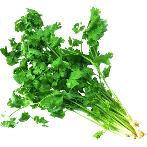 trellisbaymarket_parsley