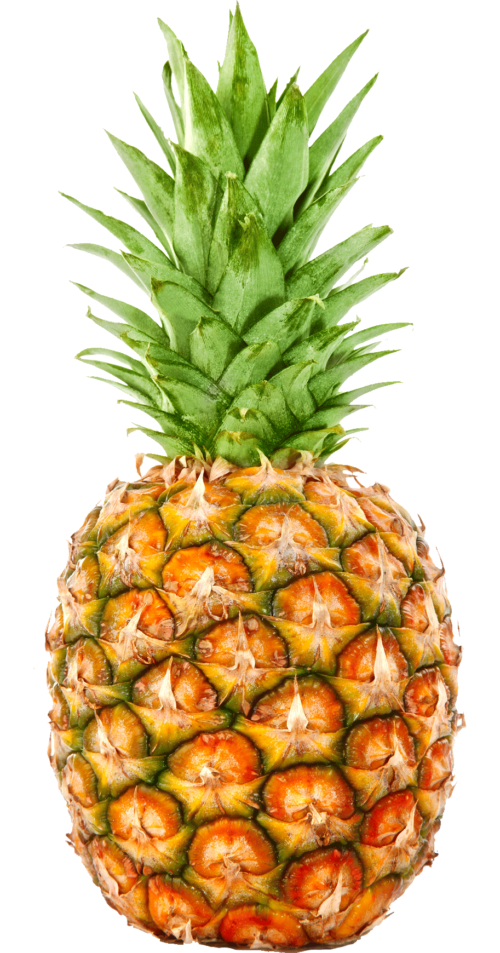 trellisbaymarket_pineapple