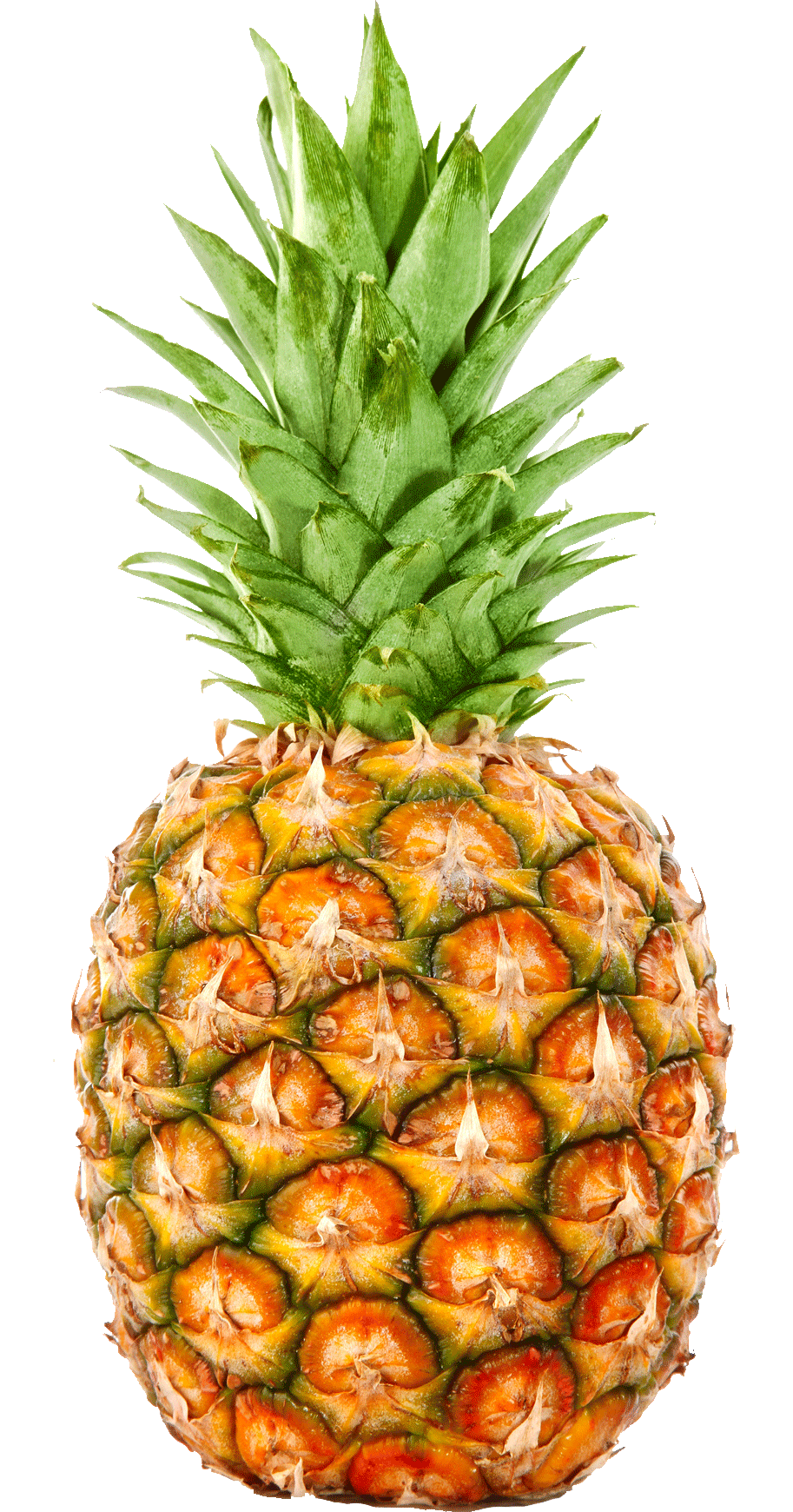 Pineapple $2.95#