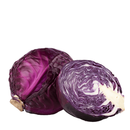 trellisbaymarket_purplecabbage