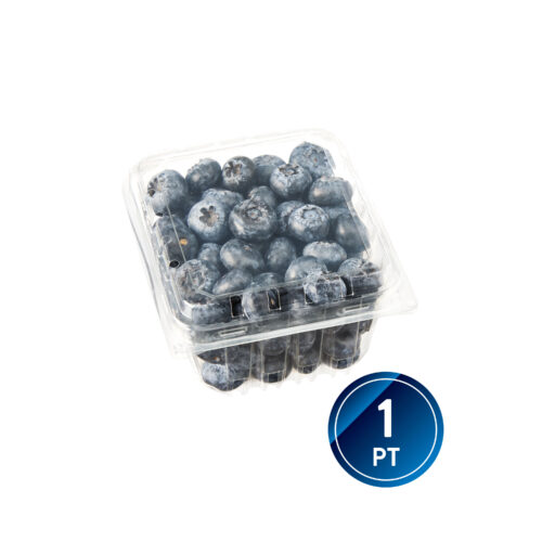 TRELLISBAYMARKET_BLUEBERRY BERRY